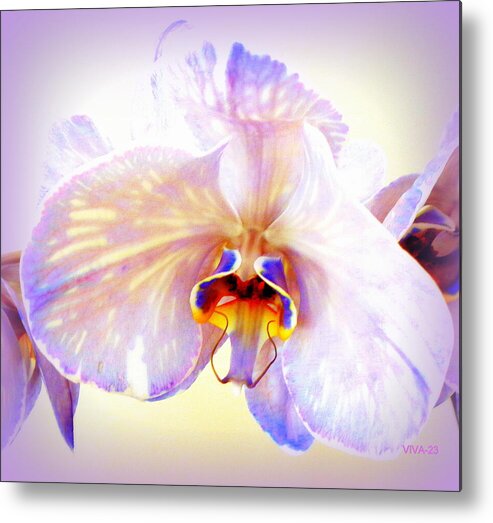 Purple Metal Print featuring the photograph Orchid-beautiful 23 by VIVA Anderson