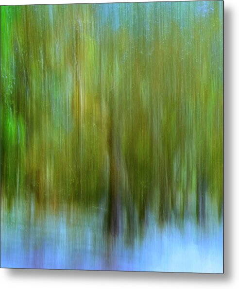 American Metal Print featuring the photograph Enchanted Cypress Forest by Carol Eade