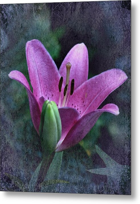 Lily Metal Print featuring the photograph Lily Marlene by Richard Cummings