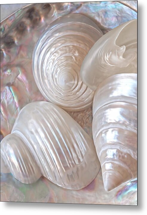 Lustrous Shells by Gill Billington