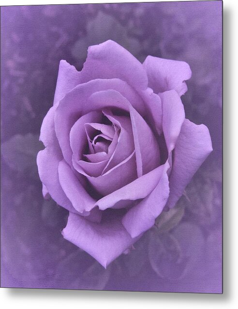 Purple Rose Metal Print featuring the photograph Vintage Lila Rose by Richard Cummings