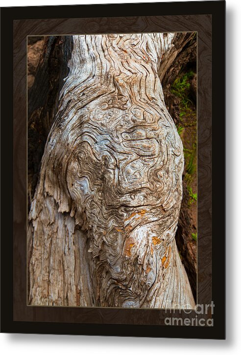 2013 Metal Print featuring the photograph Ancient Expression of Beauty by Omaste Witkowski