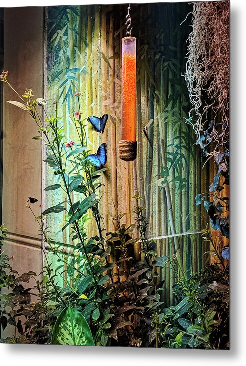 Plant Metal Print featuring the photograph Butterfly Garden by Portia Olaughlin