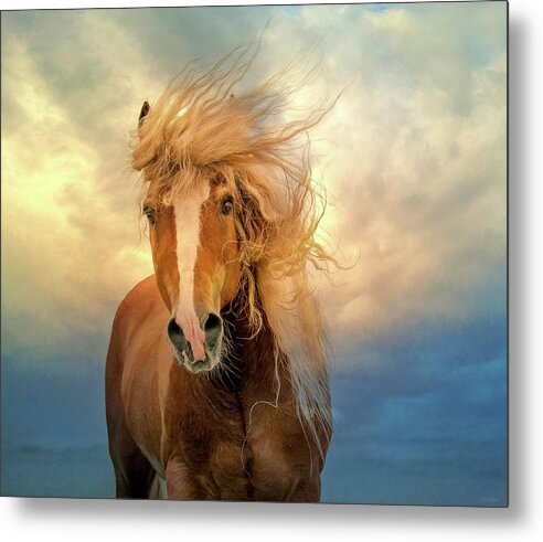 Horse Metal Print featuring the digital art Windswept by Nicole Wilde