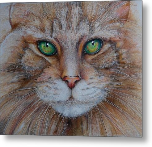 Cat Metal Print featuring the drawing Jenks by Jean Cormier