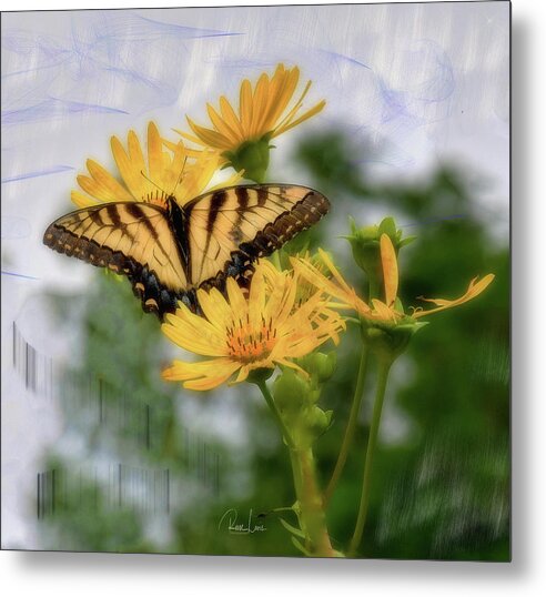 Butterfly Metal Print featuring the photograph Awesome Butterfly by Reese Lewis