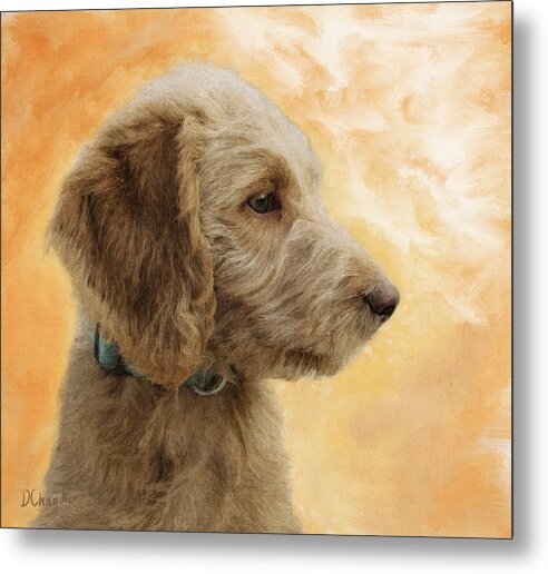 Puppy Metal Print featuring the painting Labradoodle Puppy by Diane Chandler