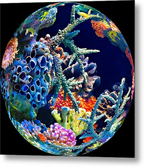 Aquarium Metal Print featuring the photograph Fisheye View by Carol Eade