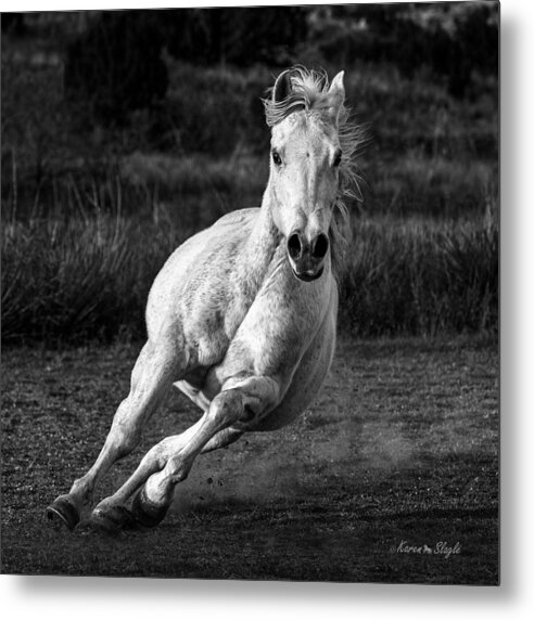 Horse Metal Print featuring the photograph Coming At Ya by Karen Slagle