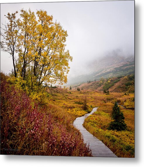Alaska Metal Print featuring the photograph Rainy Autumn Walkies s by Tim Newton