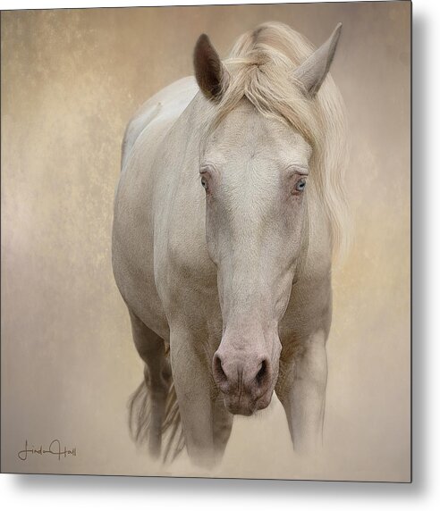 Cream Metal Print featuring the digital art Is That a Treat in Your Hand by Linda Lee Hall