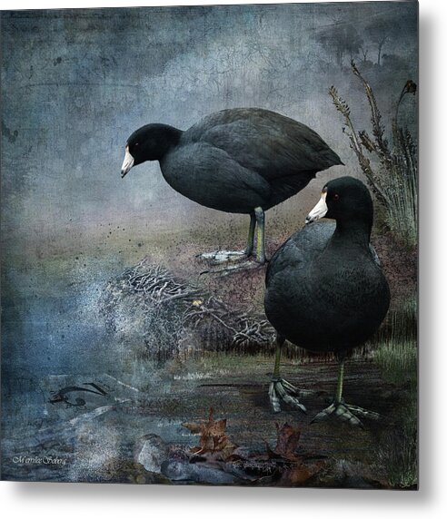 Bird Metal Print featuring the digital art Two Coots #1 by Merrilee Soberg