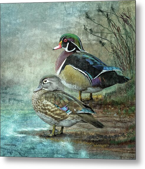 Bird Metal Print featuring the digital art Wood Ducks #1 by Merrilee Soberg