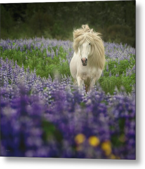 Photography Metal Print featuring the photograph Iceland Wonder by Phyllis Burchett