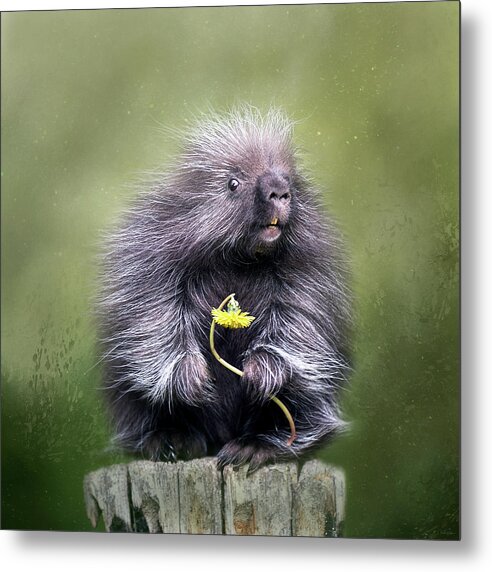 Porcupine Metal Print featuring the digital art Will You Be Mine? by Nicole Wilde