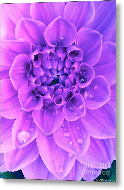 Cathy Dee Janes Metal Print featuring the photograph Purple Too by Cathy Dee Janes