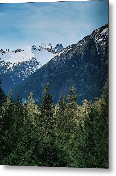 Snow Capped Metal Print featuring the photograph Cascade View by Jermaine Beckley
