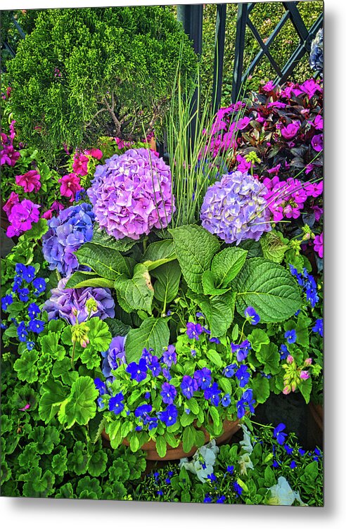 Flower Metal Print featuring the photograph Planter Pots Disney Style by Portia Olaughlin