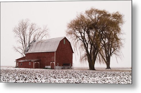 Winter Metal Print featuring the photograph 020213-57  Prairie Winter IIi by Mike Davis