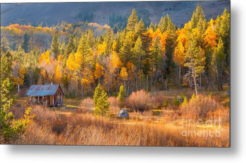 Eastern Sierras Metal Print featuring the photograph Lone Cabin #1 by Charles Garcia