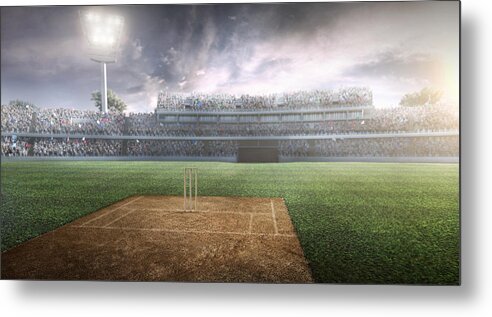 Grass Metal Print featuring the photograph Cricket: Cricket stadium #5 by Aksonov