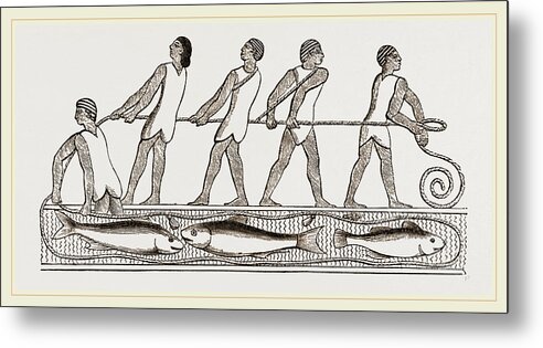 Ancient Egyptians Fishing With Drag-net Metal Print by Litz