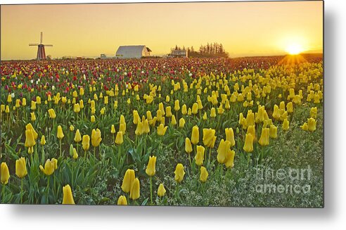 Pacific Metal Print featuring the photograph At The Crack Of Dawn by Nick Boren