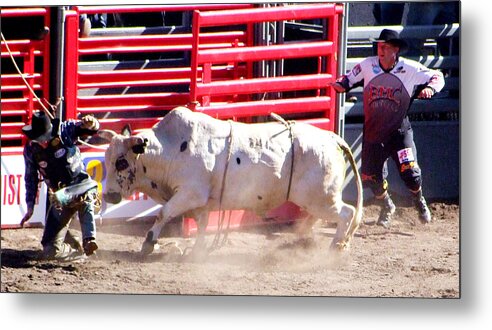 Cowboy Metal Print featuring the photograph Bull after the Rider by Ron Roberts