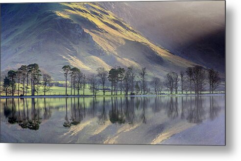 Scenics Metal Print featuring the photograph Buttermere Pines by John Lever Photography.