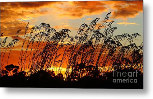 Sapelo Metal Print featuring the photograph Cabretta Sunset by Andre Turner