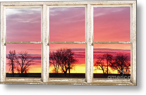 Windows Metal Print featuring the photograph Colorful Tree Lined Horizon White Barn Picture Window Frame by James BO Insogna