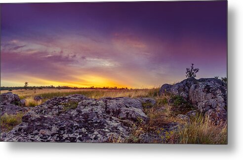 Ukraine Metal Print featuring the photograph Dawn at steppe by Dmytro Korol