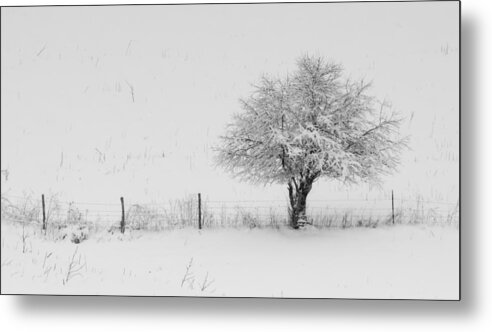 Fence Metal Print featuring the photograph Fence line in the Wintertime by Holden The Moment