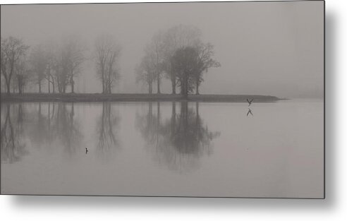 Landscape Metal Print featuring the photograph Fog and Fishing Eagle by Deborah Smith