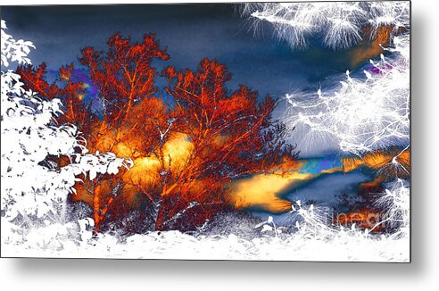 Four Seasons Metal Print featuring the photograph Four Seasons Sun Clouds Trees Night Day by Jerry Cowart