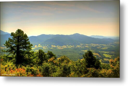Landscape Photography Metal Print featuring the photograph Golden Hills by Debra Forand