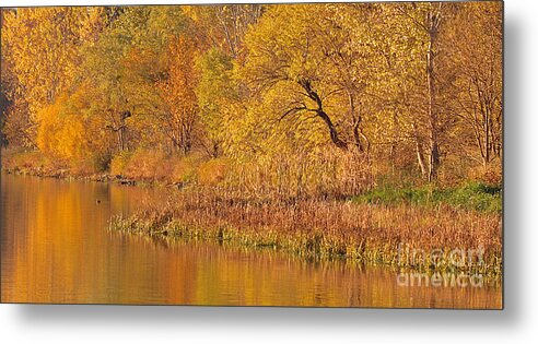 Chalco Hills Metal Print featuring the photograph Golden Sunrise by Elizabeth Winter