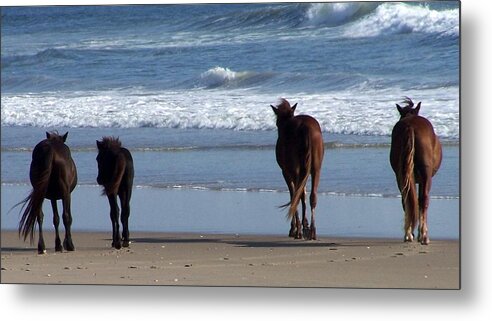 Wild Spanish Mustang Metal Print featuring the photograph Happy Tails by Kim Galluzzo