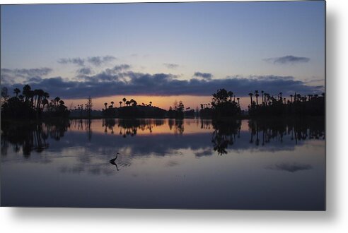 Orlando Metal Print featuring the photograph Heron at Dawn by Brian Kamprath