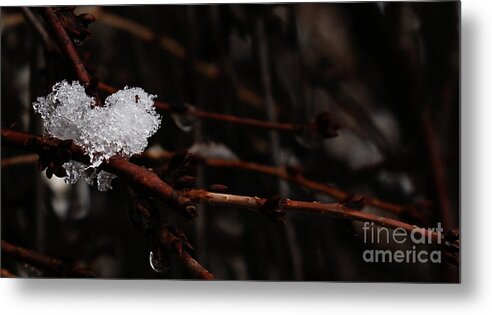 Snow Metal Print featuring the photograph Ice by Linda Shafer