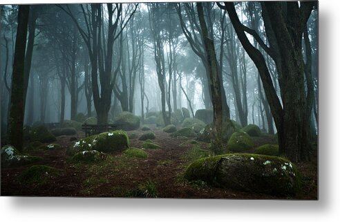 Nature Metal Print featuring the photograph Into the light by Jorge Maia