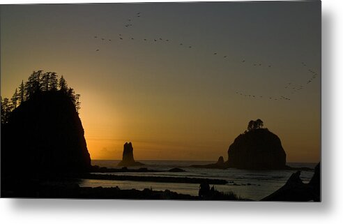 James Island Metal Print featuring the photograph James Island Sunset and Birds by Greg Reed