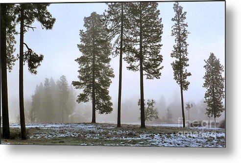 Sunrise Metal Print featuring the photograph Morning Rime by Julia Hassett