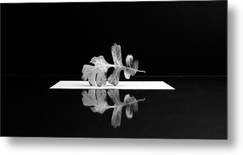 Floral Metal Print featuring the photograph Oak Leaf by Mary Lee Dereske