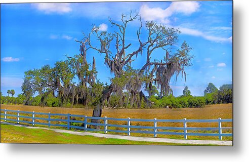 Tree Metal Print featuring the photograph Old Tree by Larry Mulvehill