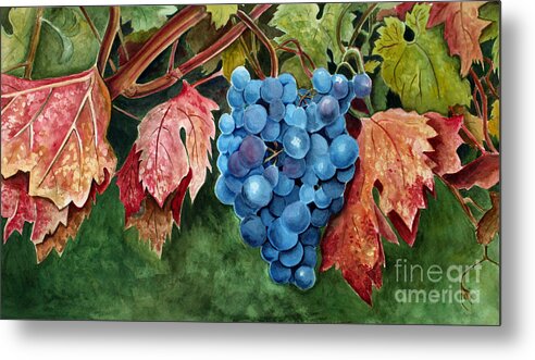 Grapes Metal Print featuring the painting Old Vine Zinfandel by Debbie Hart