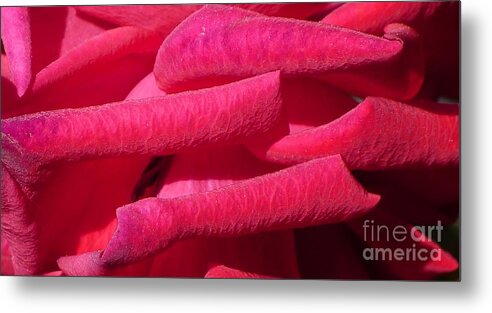 Red Metal Print featuring the photograph Petals by Nora Boghossian