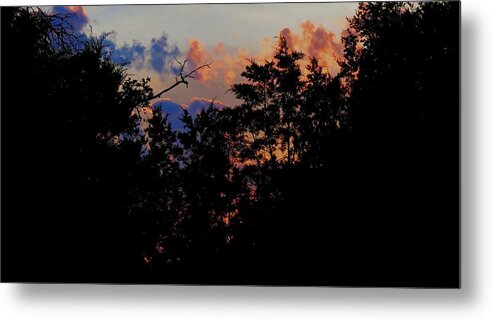 Texas Hill Country Metal Print featuring the photograph Purple Ending by David Norman