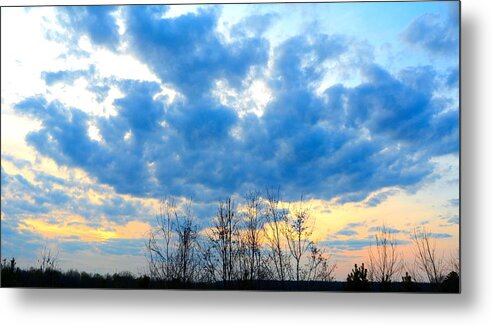 Blue Metal Print featuring the photograph Reach Out and Touch the Sky by Linda Bailey