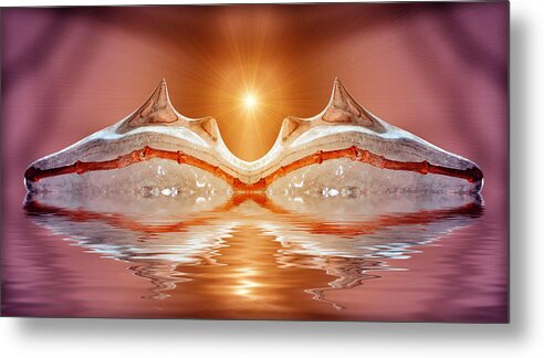 Ice Metal Print featuring the photograph Spring Melt by WB Johnston